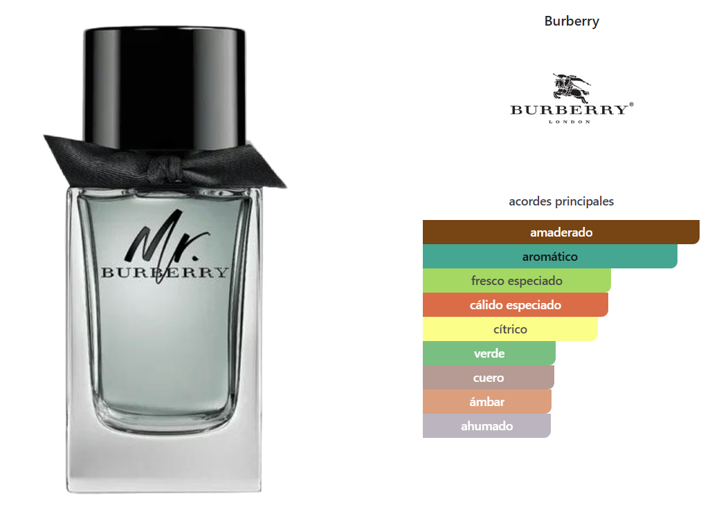 MR. BURBERRY
