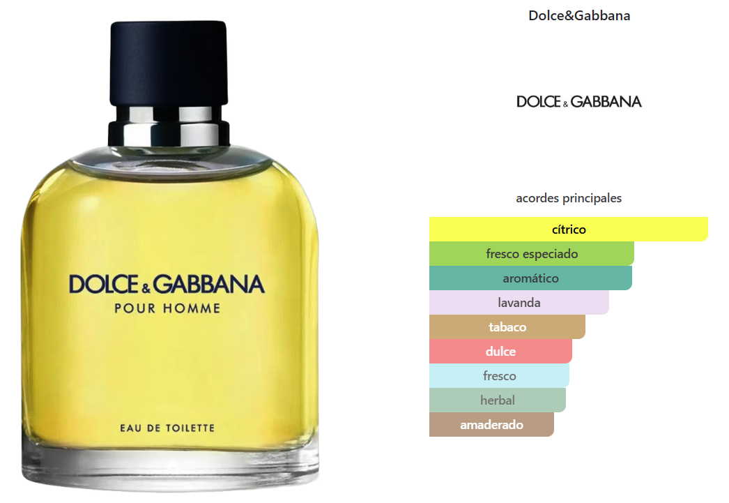 DOLCE & GABBANA POUR HOMME