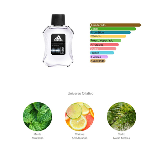 ADIDAS DYNAMIC PULSE